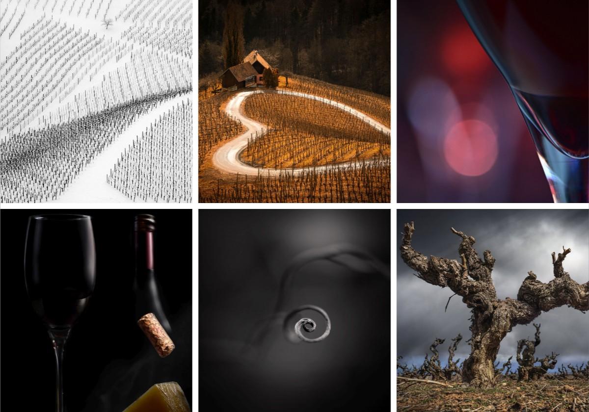 Las imágenes ganadoras del XXVI Concurso Internacional de Fotografía &#039;El Rioja y los 5 Sentidos&#039;