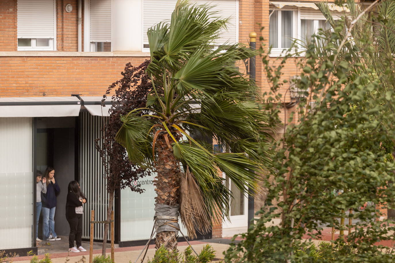 Viento en la calle Vara de Rey, en una imagen de archivo.