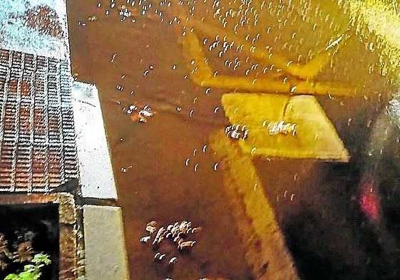 Quejas por un andamio «muy molesto» en Gran Vía