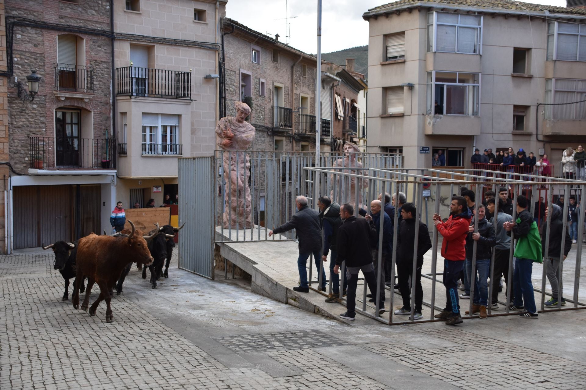 Encierros de reses bravas en las fiestas de San Blas de Autol