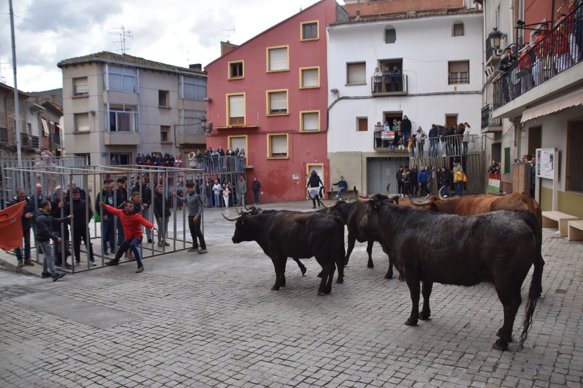 Encierros de reses bravas en las fiestas de San Blas de Autol