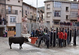 Encierros de reses bravas en las fiestas de San Blas de Autol