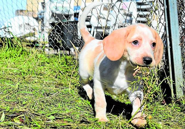 Arriba, Völva cuando fue abandonada. Abajo, en la actualidad.