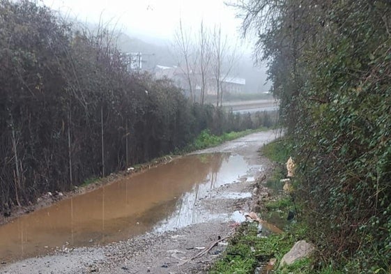A favor de que se multen las conductas incívicas en Logroño