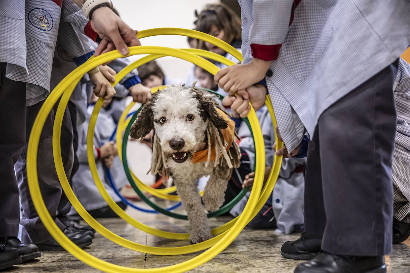 El proyecto de bienestar emocional de Agustinas, en imágenes