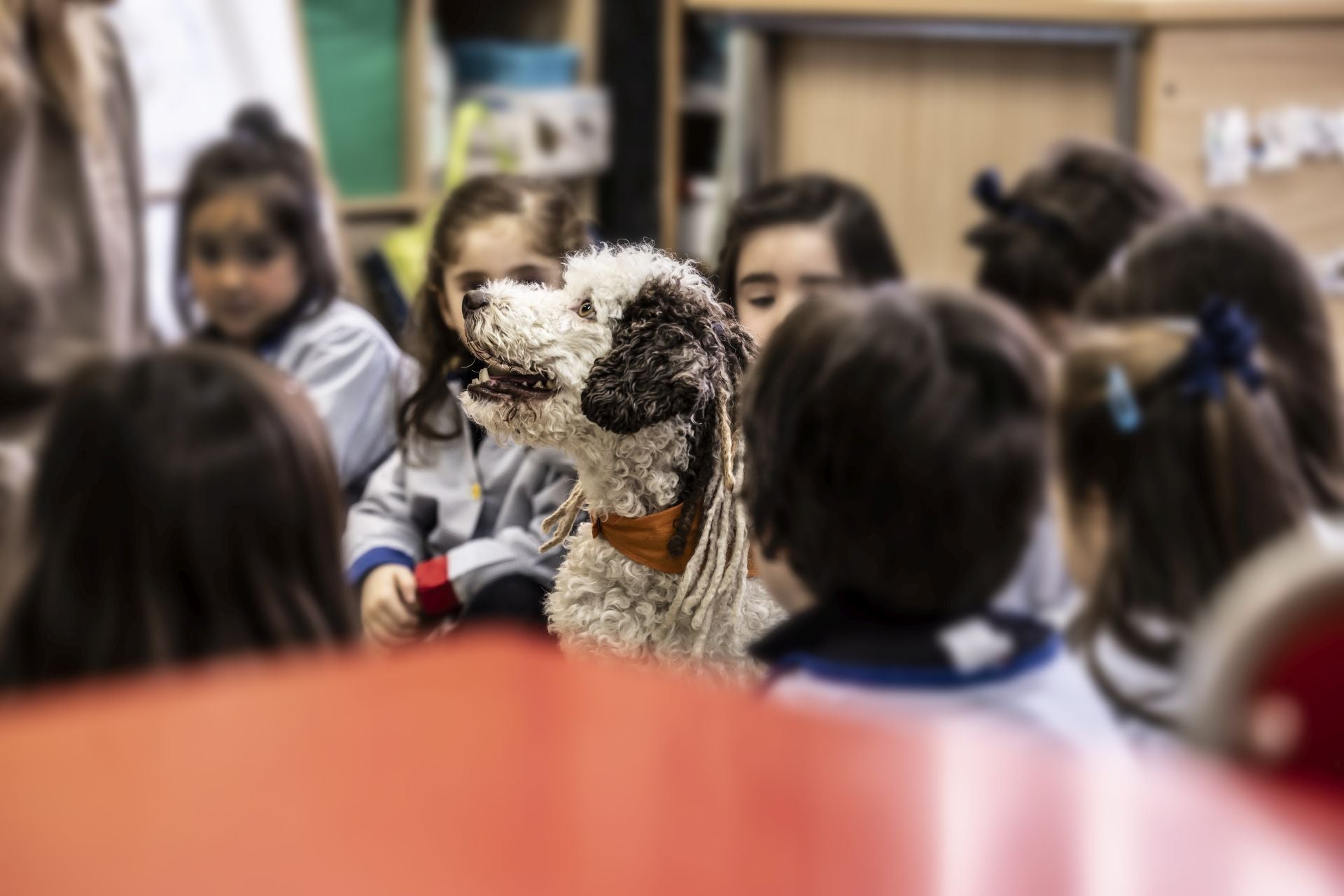 El perro Epi es uno más de la clase en Agustinas