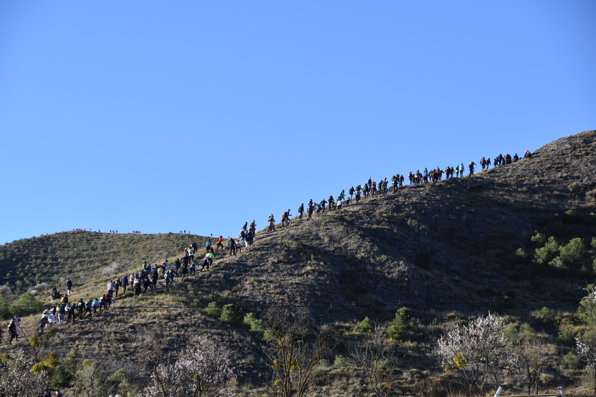 Las imágenes de las carreras y la marcha Ogro de Autol