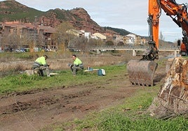 Dos trabajadores de Ecosil descansan de su labor, rodeados de troncos ya talados.