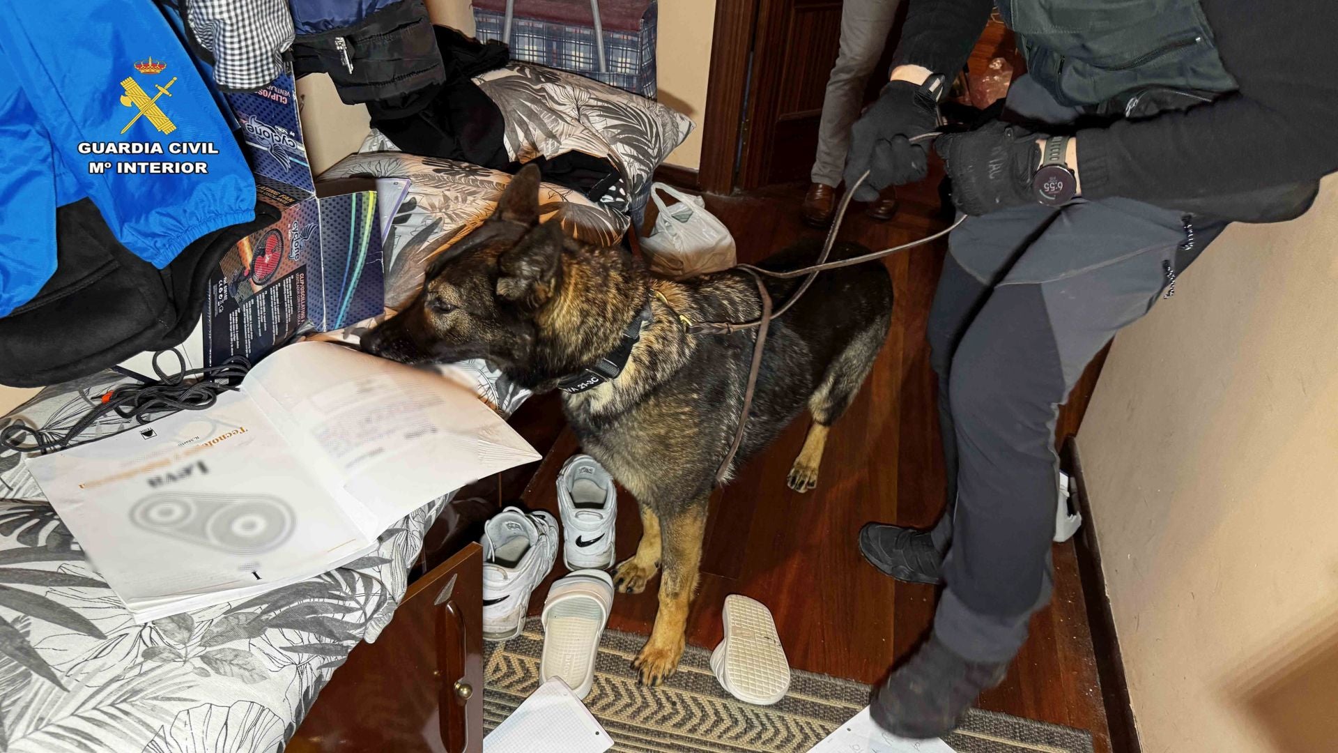 Las imágenes de la intervención de la Guardia Civil en Haro