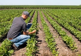 El Ministerio de Agricultura ha informado de que se retrasa la aplicación del cuaderno digital hasta el próximo periodo de programación de la PAC –a partir de 2028–.