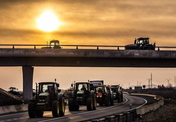 Los tractores por las carreteras riojanas, durante las protestas de febrero de 2024
