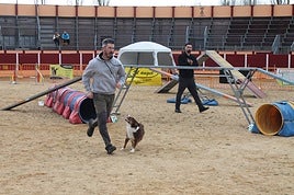 Uno de los participantes guía a su mascota entre los obstáculos, ante la atenta mirada del árbitro.