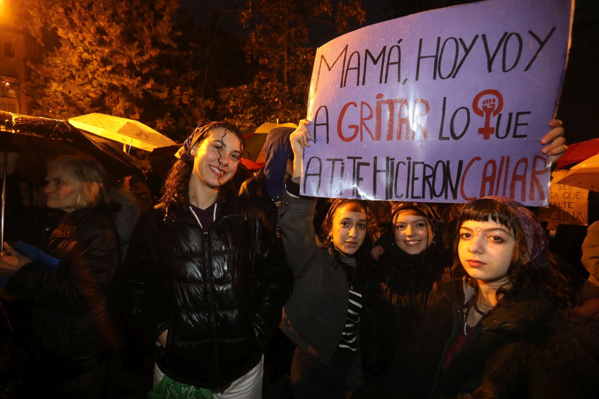 Las imágenes de la celebración del 8M en Logroño