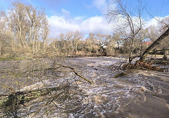 El Iregua, este domingo en su desembocadura en el Ebro.