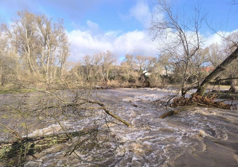 El Iregua, este domingo en su desembocadura en el Ebro.