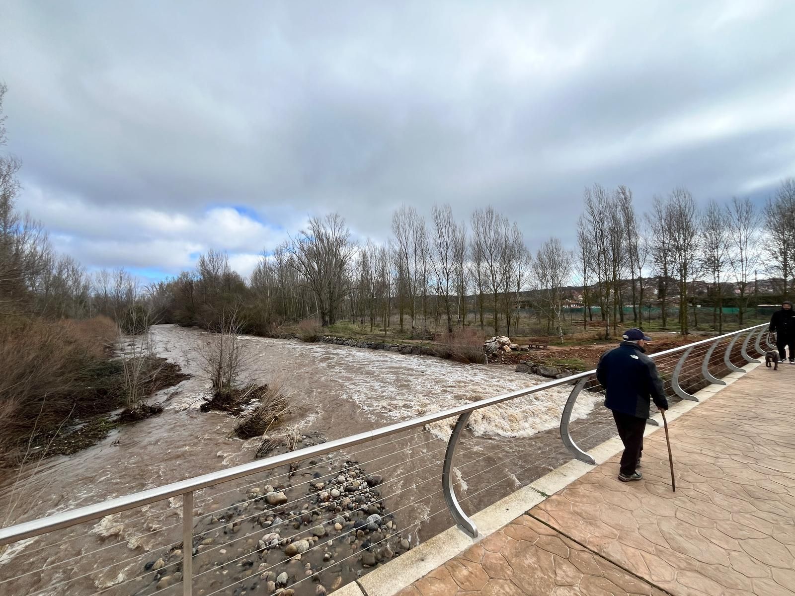 El río Iregua, muy crecido en su desembocadura en el Ebro