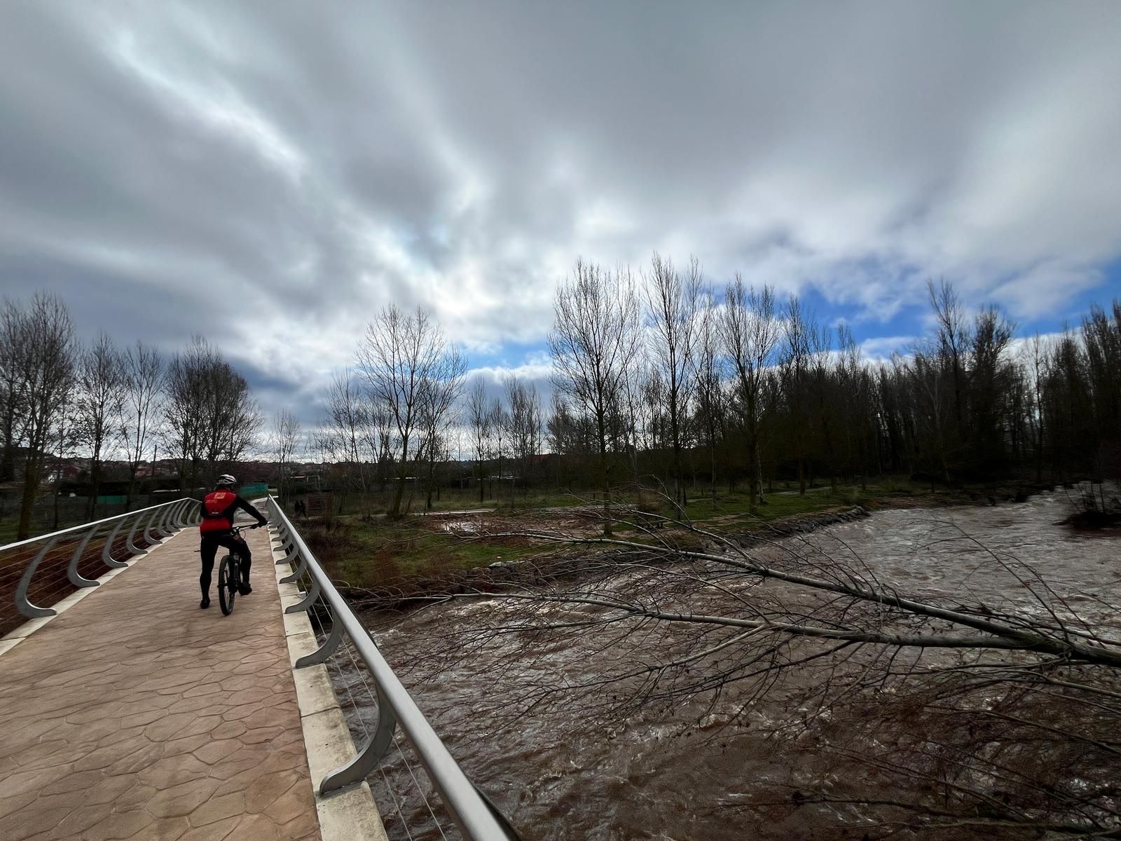 El río Iregua, muy crecido en su desembocadura en el Ebro