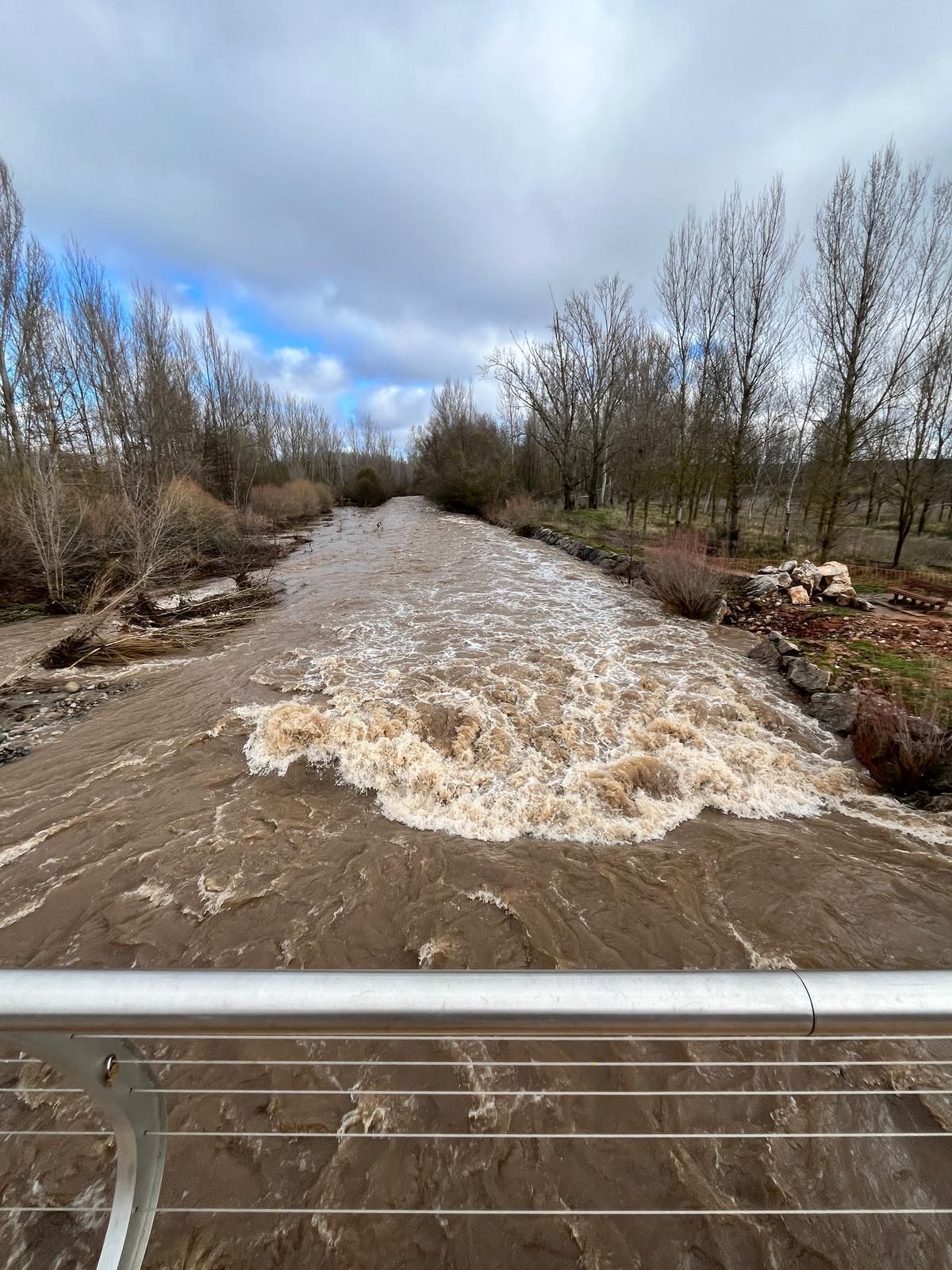 El río Iregua, muy crecido en su desembocadura en el Ebro