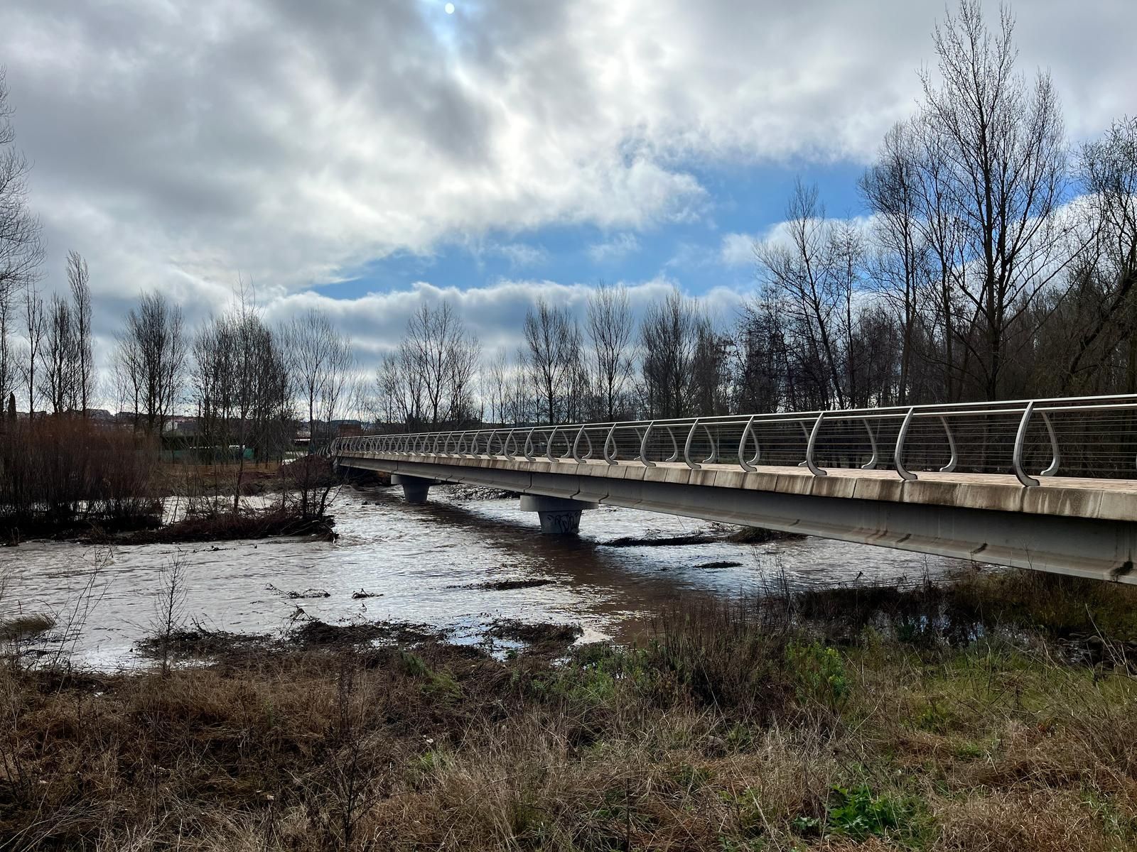 El río Iregua, muy crecido en su desembocadura en el Ebro