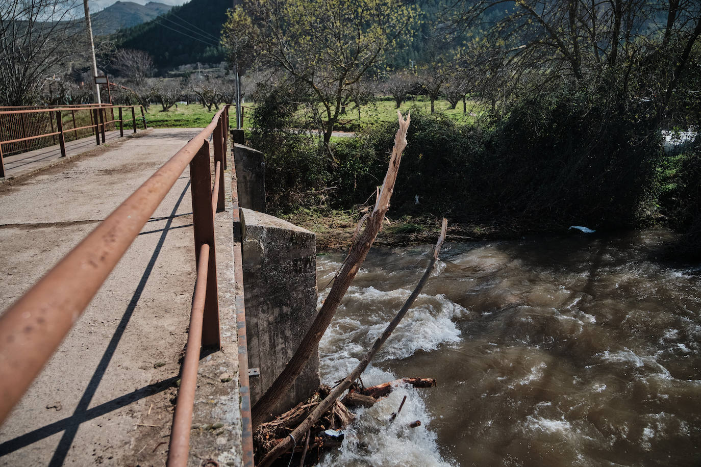 El caudal del Iregua, en máximos