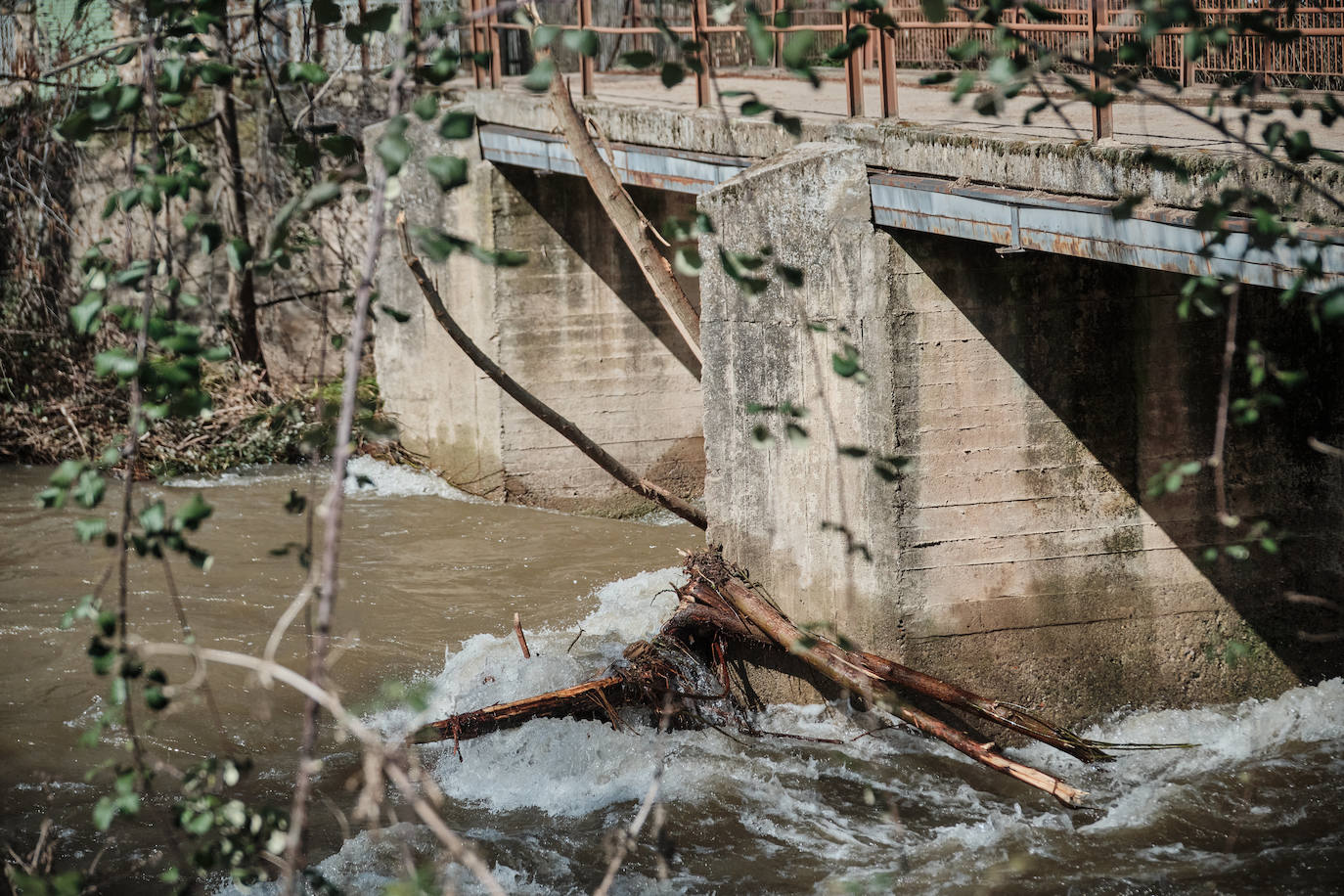 El caudal del Iregua, en máximos