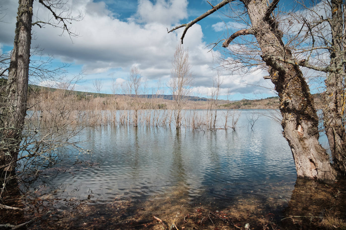 El caudal del Iregua, en máximos