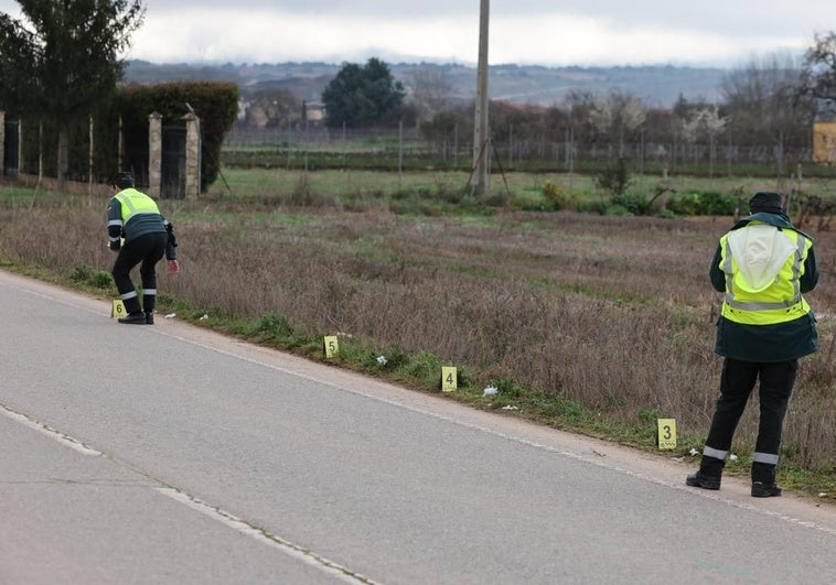 La Guardia Civil investiga en el lugar del atropello mortal.