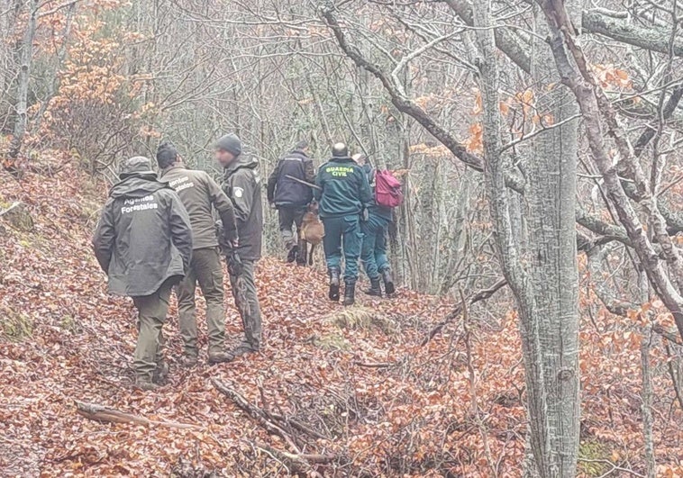 La Guardia Civil busca cebos envenenados en La Rioja