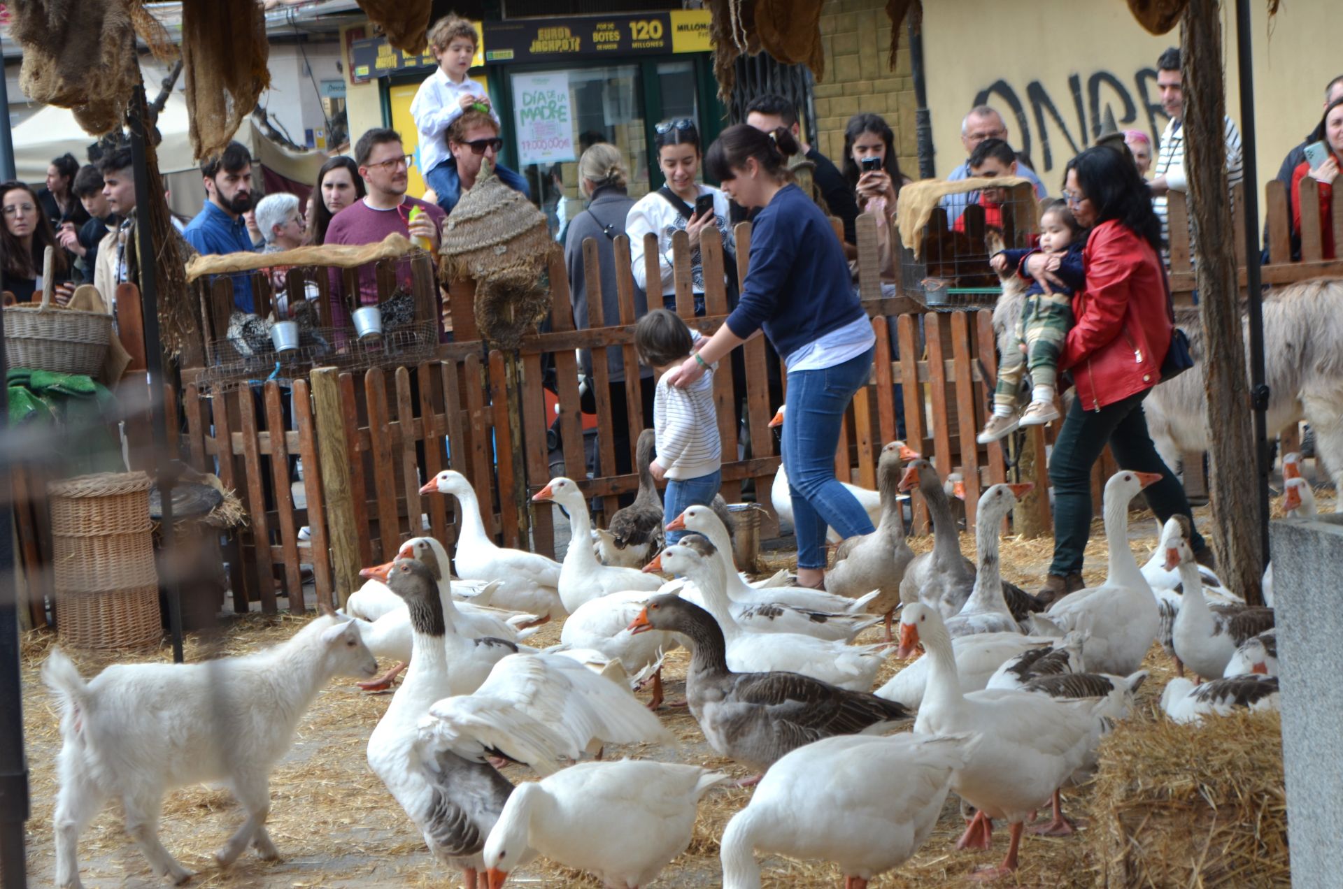 Calahorra despide su Mercafórum