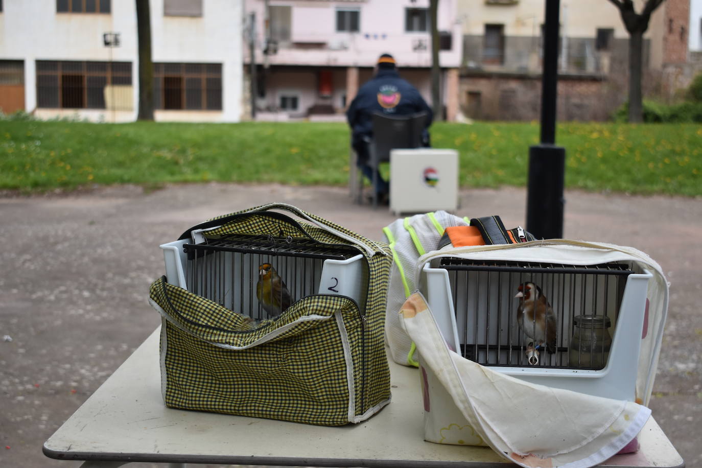 Las imágenes del concurso de canto de pájaros silvestres de Cervera