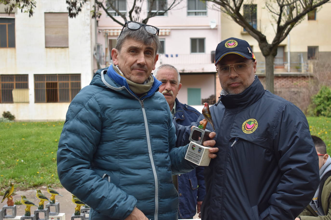Las imágenes del concurso de canto de pájaros silvestres de Cervera