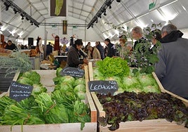 Exposición de verduras, en el mercado de las jornadas gastronómicas del año pasado. I.Á.