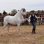 Una de las exhibiciones del gran ferial de caballos del año pasado en Rincón de Soto.