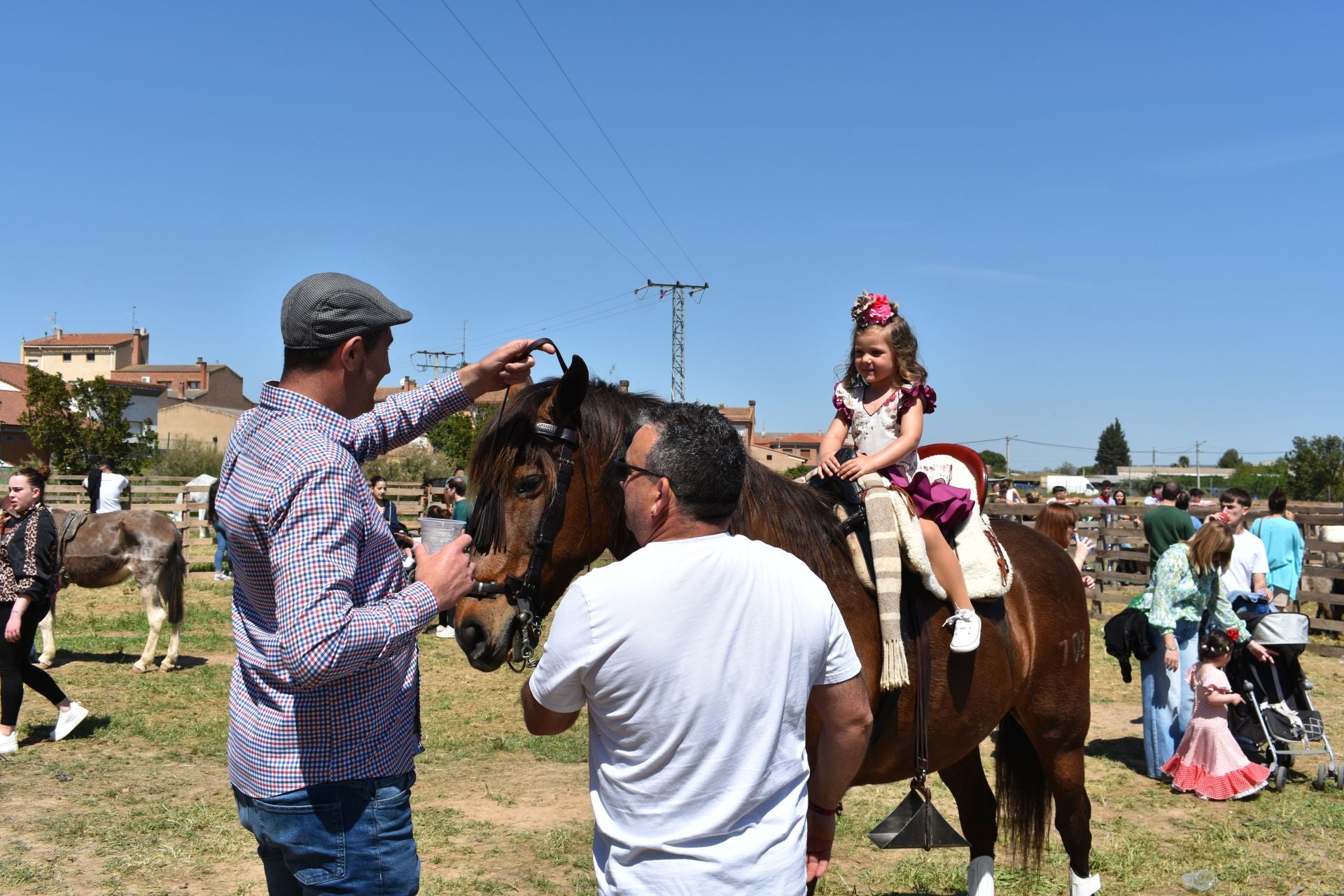 Los caballos protagonizan una mañana de ferias en Rincón de Soto