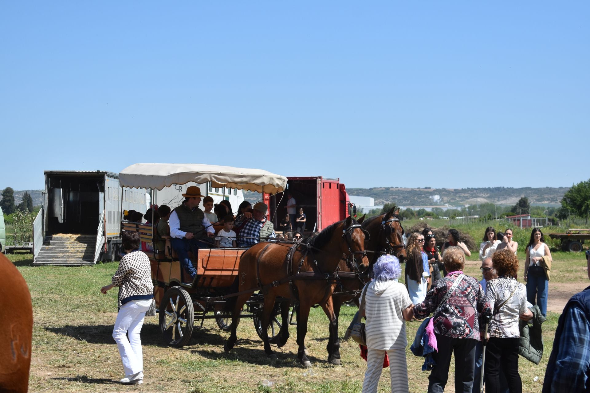 Los caballos protagonizan una mañana de ferias en Rincón de Soto