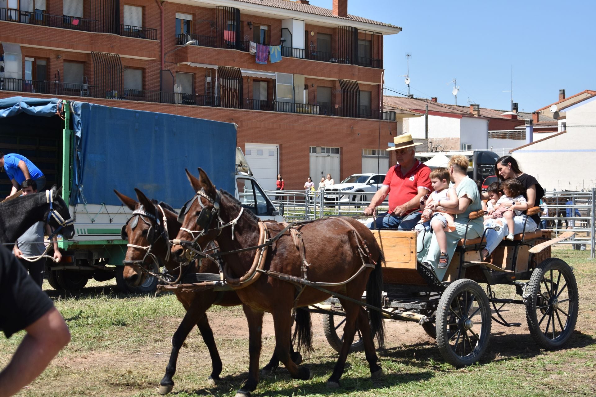 Los caballos protagonizan una mañana de ferias en Rincón de Soto