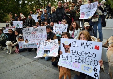 «Las multas son injustas y desproporcionadas», se quejan medio centenar de dueños de perros