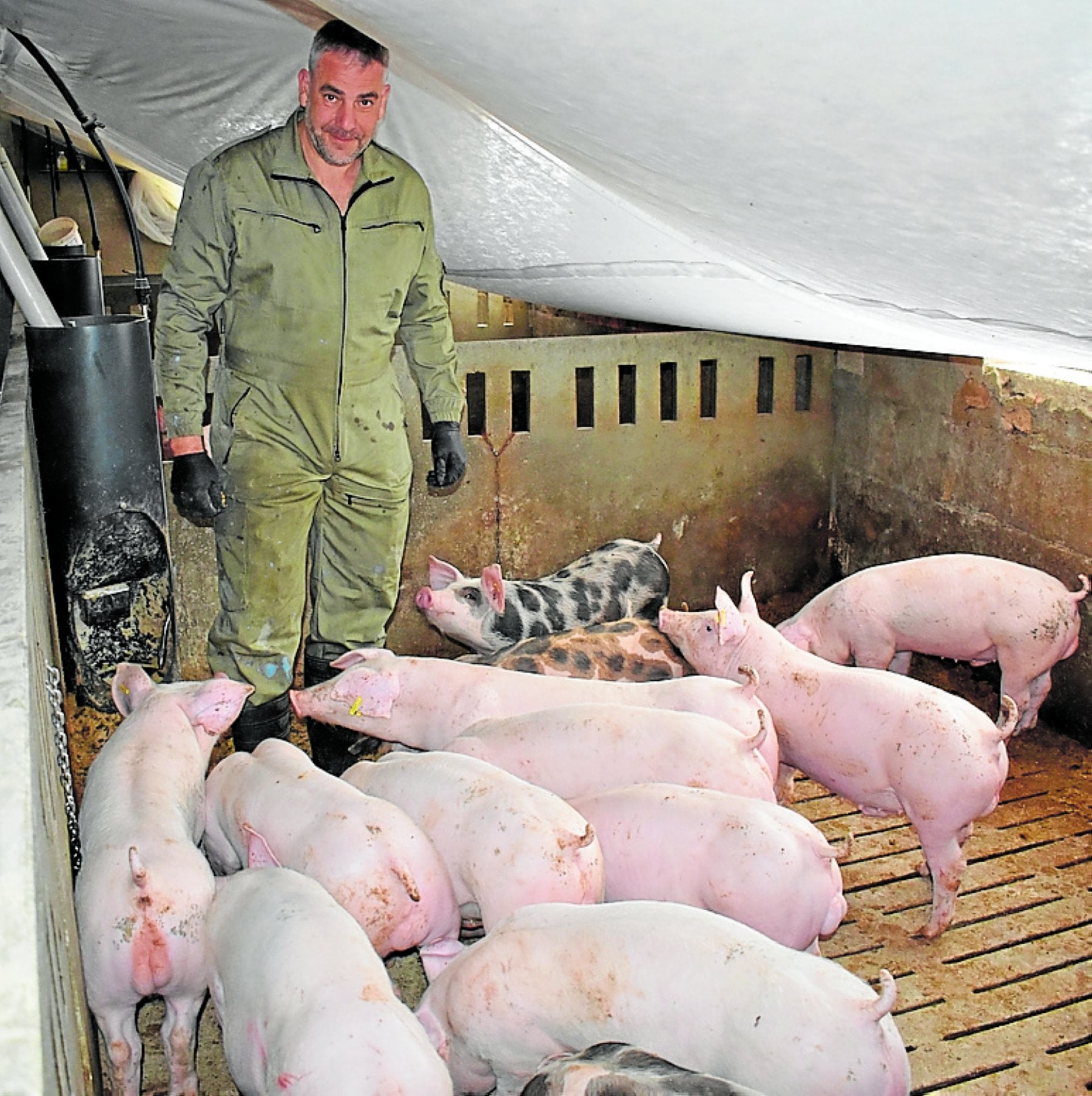 «El aumento de exigencias merma los beneficios»
