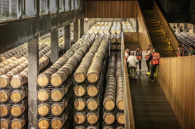 Nace Vinarchy, la nueva compañía mundial de vinos que integra Campo Viejo, Hardys y Jacob's Creek
