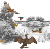 Los animales del Ebro, de uno en uno