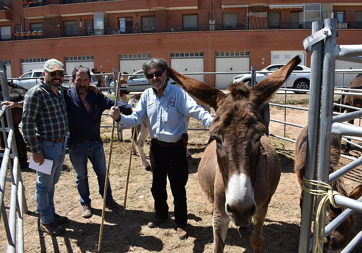 Los ganaderos hermanos Velasco, de Rincón de Olivedo, y Jonatan Romero, de Tauste, en el ferial de ganado equino de Rincón de Soto.