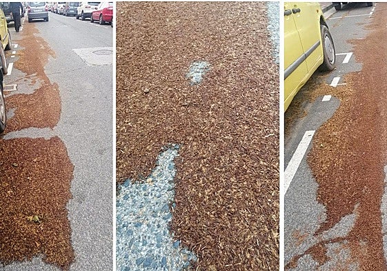 El Teléfono del Lector