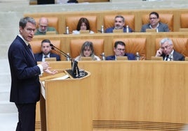 Capellán, en el pleno del Parlamento de este jueves.