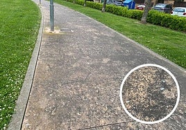 El Teléfono del Lector