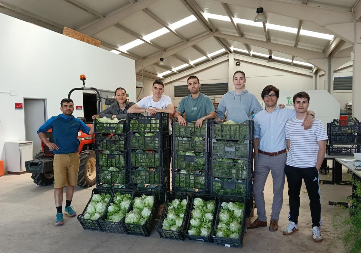 Donadas a la Cocina Económica 200 lechugas de los campos de experimentación agrícola de la UR