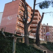 Árboles con ramas caídas.