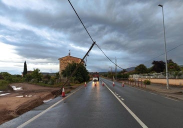 Caída de un poste eléctrico en la LR-254, entre Lardero y Alberite.