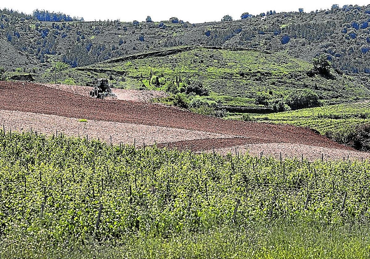La baja rentabilidad ahuyenta a los jóvenes del sector primario riojano