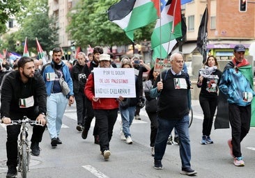 Asistentes a la marcha celebrada este jueves en Logroño en contra del genocidio en Gaza.