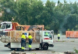 Operarios municipales, retirando los árboles talados.